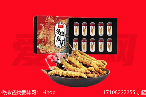 无锡市江阴回收虫草.jpg